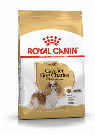 Royal Canin Cavalier King Charles Adult