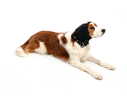 Buster Ear Cover XX-Large
