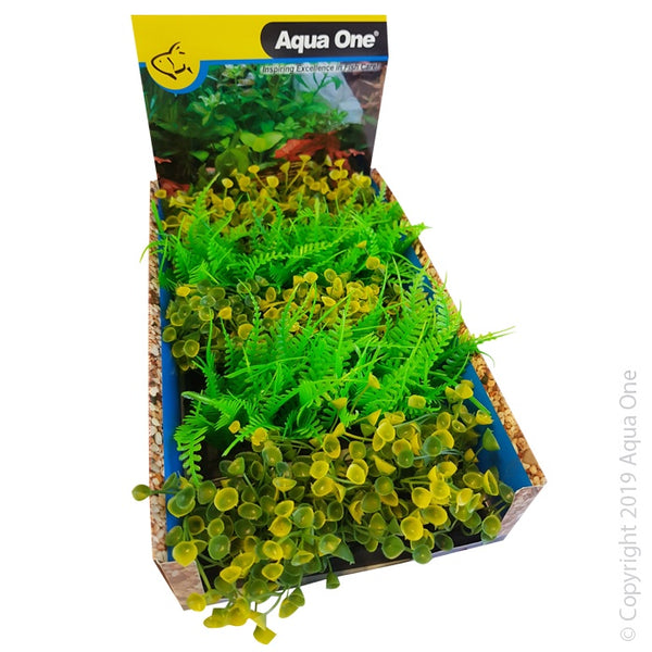 Aqua One Ecoscape Foreground Ogris Auribus Yl/Fern GN Mix Punnet Single