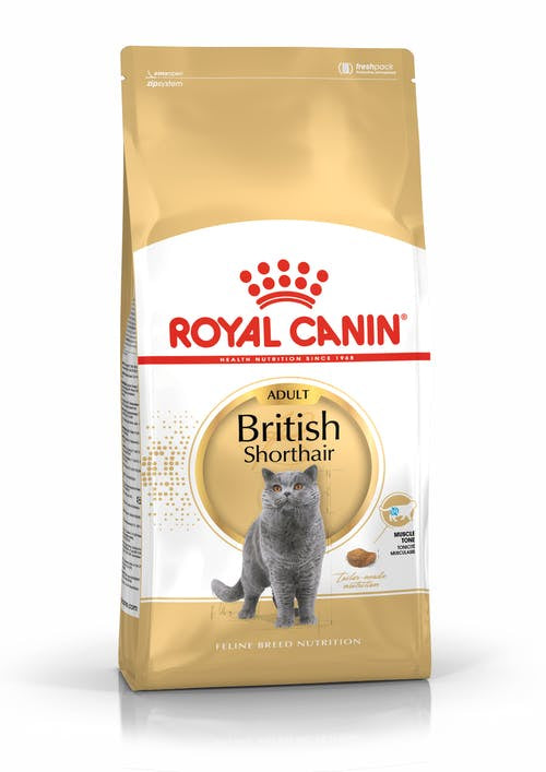 Royal Canin British Shorthair Adult