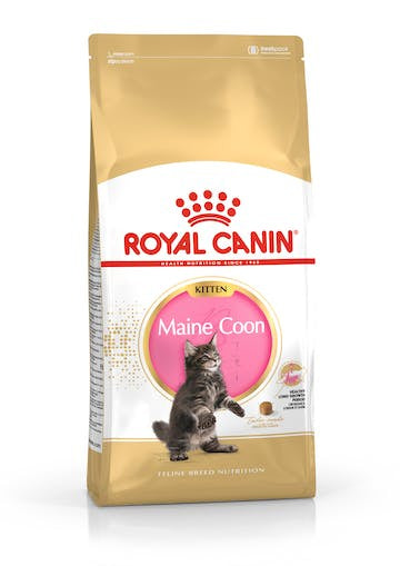 Royal Canin Maine Coon Kitten 2kg