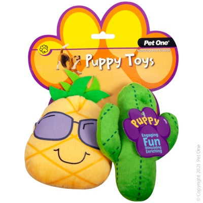 Pet One Puppy Cactus Family Assorted 2 Pack