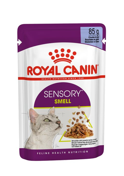 Royal Canin Sensory Smell Chunks in Jelly 85G 12 Pack