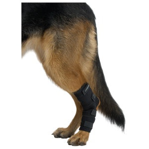 Rehab Hock Protector Large