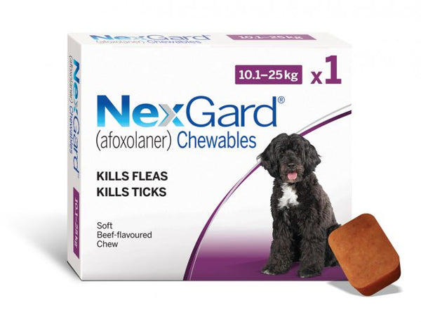 NexGard Chewable Dog 10.1-25kg Single