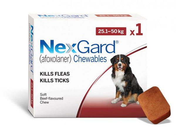 NexGard Chewable Dog 25-50KG Single