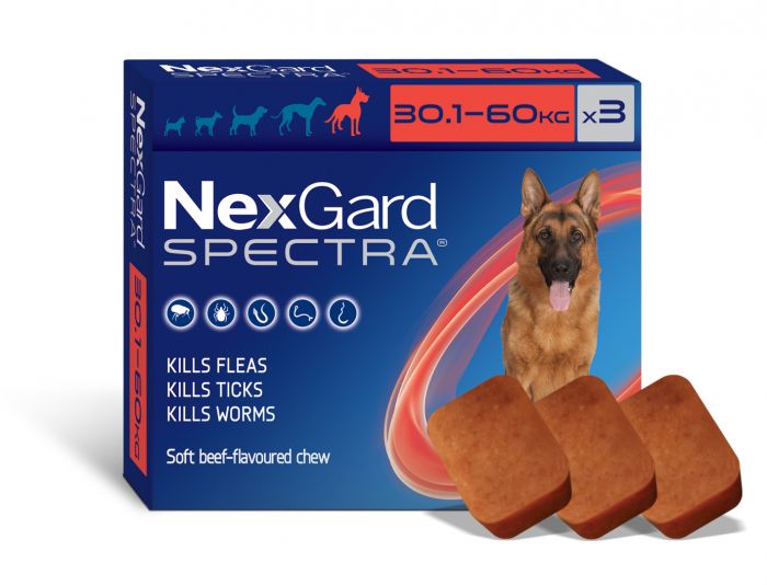 Nexgard Spectra Chewable Dog 30.1-60KG 3 Pack