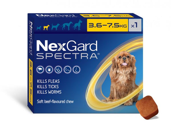 Nexgard Spectra Chewable Dog 3.6-7.5KG Single