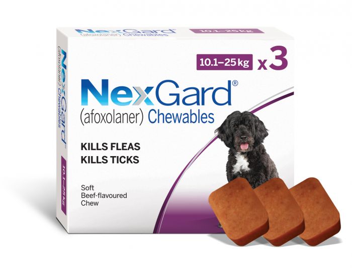NexGard Chewable Dog 10.1-25KG 3 Pack