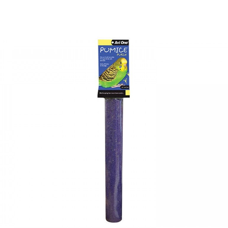 Avi One Pumice Perch Bright Purple 12"